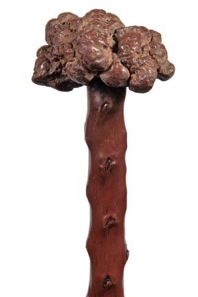 Petrified Tortoise Dung Defensive Folk Cane-Early 2: Petrified Tortoise Dung Defensive Folk Cane-Early 20th Century-A grotesque, heavy handle, twig spur shaft and a bi-metal ferrule-H. 3" x 1 ½", O.L. 33"-$300-$400
