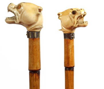Ivory Dog cane: Ivory Dog cane Circa 1885- Ivory dog with only one of two color glass eyes, chipped upper tooth, metal collar, bamboo shaft and wood ferrule. H 2.25 x 2" OL- 35" 300-400