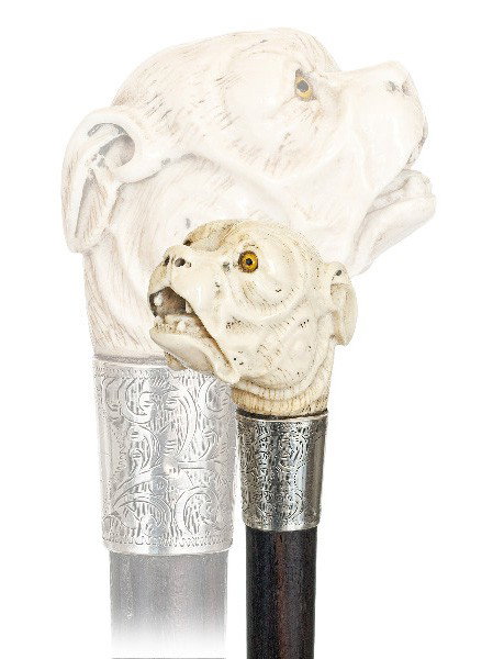 Ivory Dog Cane - Chester hallmarked 1902-Carved el: Ivory Dog Cane - Chester hallmarked 1902-Carved elephant ivory massive handle, ebony shaft with a metal ferrule and finely engraved silver collar. It has inset glass eyes and a well aged surface-H. 2
