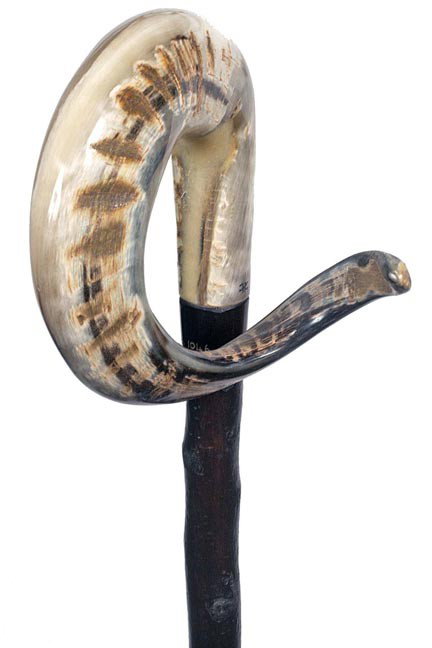 252. Scottish Ram's Horn Cane-Mid 20th Century-A h: 252. Scottish Ram's Horn Cane-Mid 20th Century-A highly polished horn cane signed and number, horn collar, hazel wood with bark shaft and a horn ferrule-H. 5 ½" x 5", O.L. 36 1/3"-$300-$500