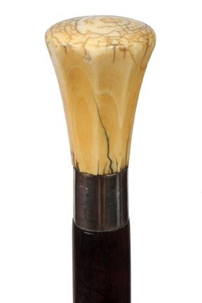 237. Ivory Dress Cane-Ca. 1925-A nice evening cane with: 237. Ivory Dress Cane-Ca. 1925-A nice evening cane with a small chip on the back side, white metal collar, ebony shaft and a metal ferrule-H. 1 3/8” x 1 7/8”, O.L. 32 ¼”-