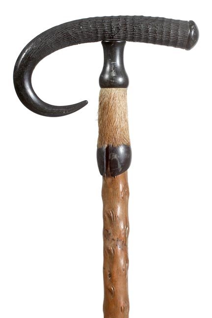 230. Horn Hiking Stick-Ca. 1925-A nice example with a g: 230. Horn Hiking Stick-Ca. 1925-A nice example with a goat hoof collar, natural grown exotic shaft and an iron pike ferrule-H. 6” x 3”, O.L. 35 ½”-
