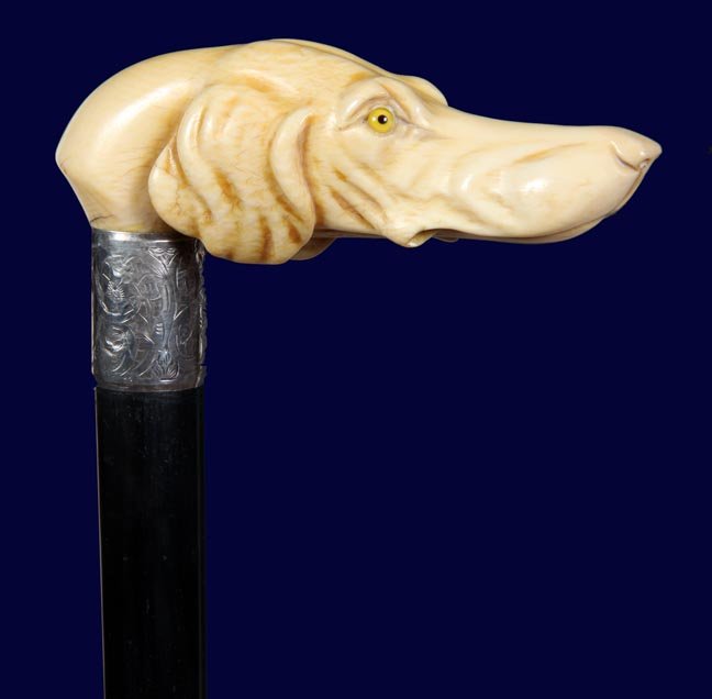 33. Massive Ivory Hound Dog Cane-Ca. 1900-The largest: 33. Massive Ivory Hound Dog Cane-Ca. 1900-The largest handle we have seen, detailed carving, two color eyes. H & F British hallmarked silver collar, large ebony shaft and a horn ferrule. H.-5 ¼” x