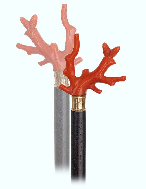 106. Red Coral Dress Cane-Ca. 1850-Delicate: 106. Red Coral Dress Cane-Ca. 1850-Delicate Mediterranean skeletonized red coral twig carved with two acorns, ebony shaft with an18 karat gold collar and metal ferrule. Rarely encountered, high end an