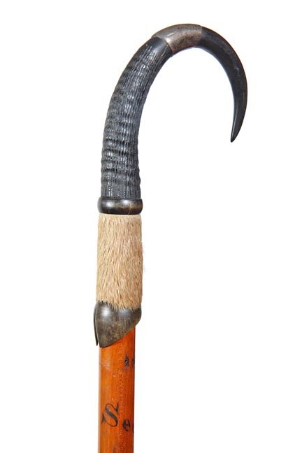 215. Hiking Cane-Ca. 1930-A goat horn and hoof with: 215. Hiking Cane-Ca. 1930-A goat horn and hoof with silver mounts, hardwood shaft and a pike ferrule-H. 3” x 7”, O.L. 35 ½”