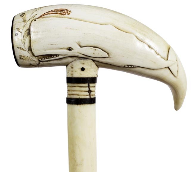 18. Whale’s Tooth Scrimshaw Cane- Ca. 1880-A whale’s: 18. Whale’s Tooth Scrimshaw Cane- Ca. 1880-A whale’s tooth with a sperm whale in high relief and the all seeing eye symbol, vine carving near the end cap which is a piece of exotic wood with an i