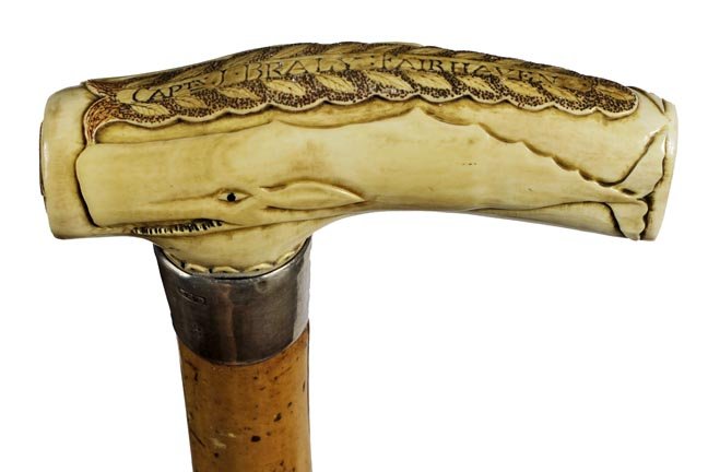 96. Whale’s Tooth Nautical Cane- Ca. 1875-A carved: 96. Whale’s Tooth Nautical Cane- Ca. 1875-A carved whale’s tooth handle once belonging to “Capt. J. Braly Fairhaven” carved atop the handle, handle has two whales with baleen eyes done in hig