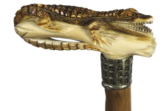 104. Ivory Alligator Cane- Ca. 1910-A full length: 104. Ivory Alligator Cane- Ca. 1910-A full length carved gator with the tail wrapping to the underside, signed sterling collar, worked twig spur shaft and a metal ferrule. H. 4 ¼” x 1 ½”, O.