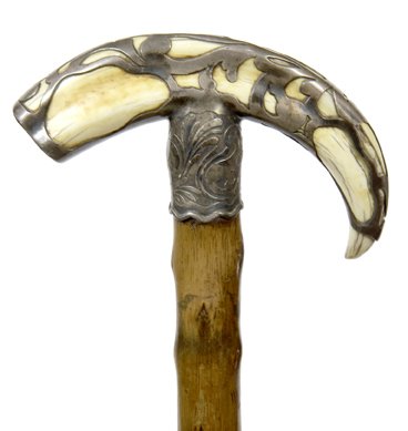 68. Pig Ivory and Silver Dress Cane- Ca. 1865-A silver: 68. Pig Ivory and Silver Dress Cane- Ca. 1865-A silver metal overlaid wild boar tusk, ornate silver metal collar, twigspur shaft and a metal collar-H. 6” x 3 ½”, O.L. 35”