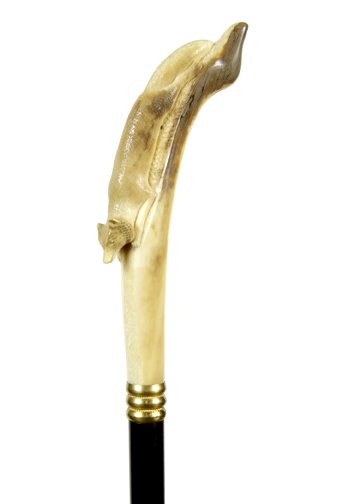 Inuit Ivory Cane- Ca. 1900-A carved ivory fox in walrus: Inuit Ivory Cane- Ca. 1900-A carved ivory fox in walrus ivory, ribbed gold metal collar, ebony shaft and a stag ferrule-H. 2 ½” x 6”, O.L. 35 ½”