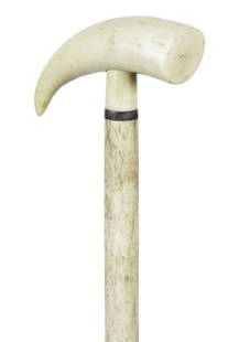 11. Nautical Whale’s Tooth Cane-Ca. 1850-Whale’s tooth: 11. Nautical Whale’s Tooth Cane-Ca. 1850-Whale’s tooth handle, small baleen collar, smooth whalebone shaft and no ferrule-H. 3 ½” x 1 ½”, O.L. 36”