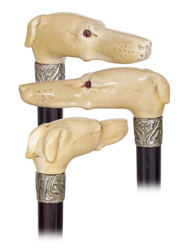  143. Ivory Greyhound Cane-Ca. 1900-A nicely carved (1 of 7)