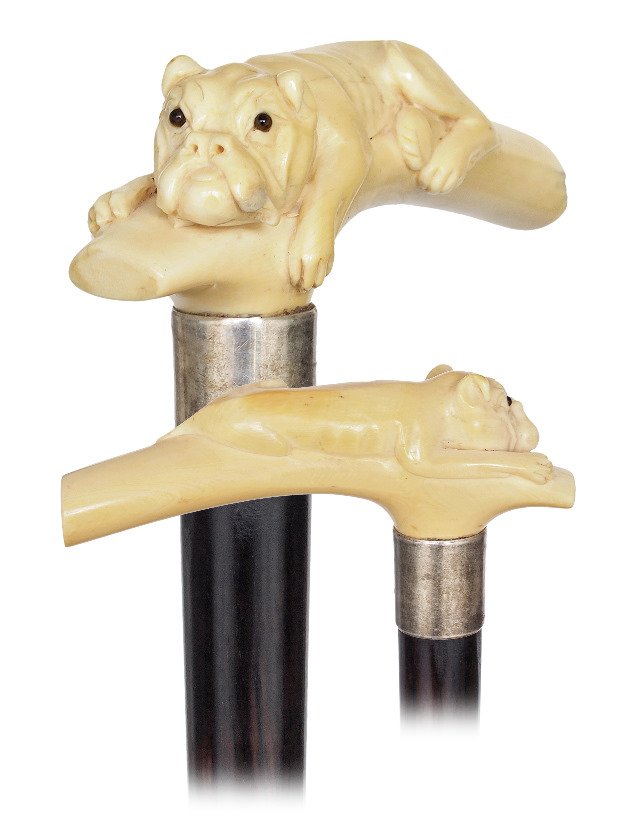 145. Ivory French Bulldog Cane-Ca. 1890-Opera shaped (1 of 10)