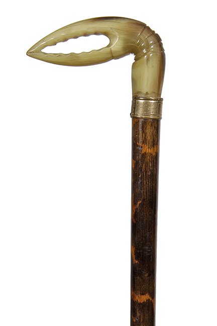 112. Horn Lobster Claw Cane- Ca. 1900- Carved horn (1 of 1)