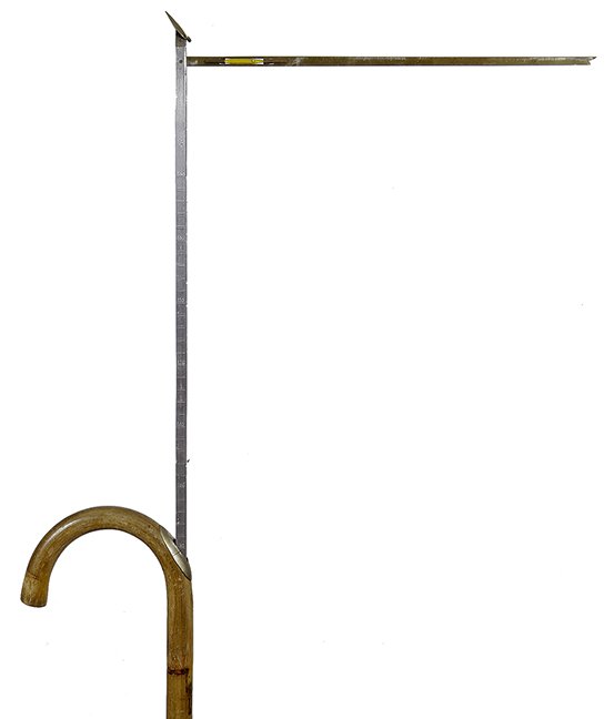 116. Horse Measure Cane- Ca. 1900- A nice system cane (1 of 1)
