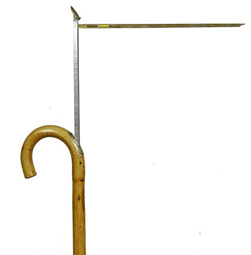 174. Horse Measure Cane- Ca. 1900- A working example (1 of 1)