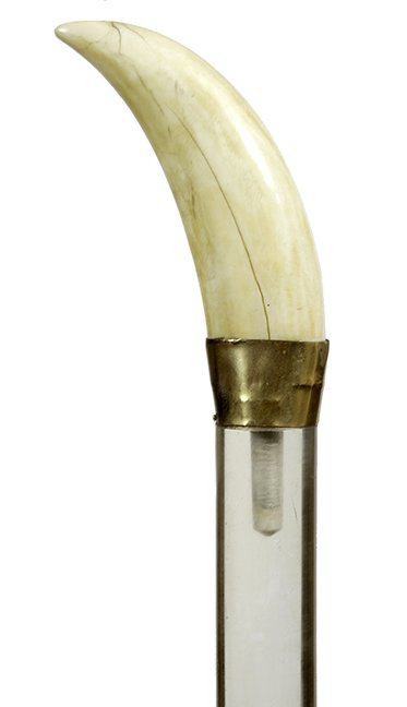 6. Johnny Winter Cane- 20th Century- A natural whale’s: 6. Johnny Winter Cane- 20th Century- A natural whale’s tooth with a brass collar, Lucite shaft and a metal ferrule. This cane appears stage left of the “Raisin Cain” album. H.- 5” x 1 ½”