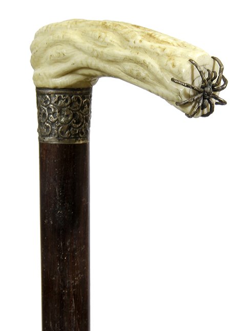 10. Johnny Winter Spider Cane- Ca. 1890- A carved ivory (1 of 2)
