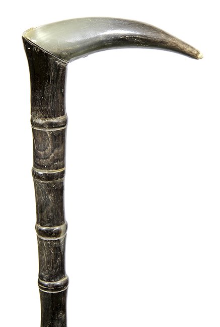33. Johnny Winter Horn Cane- Ca. 1940- A segmented (1 of 1)