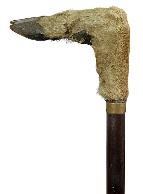 35. Johnny Winter Deer Cane- Ca. 1940- A mounted deer (1 of 1)