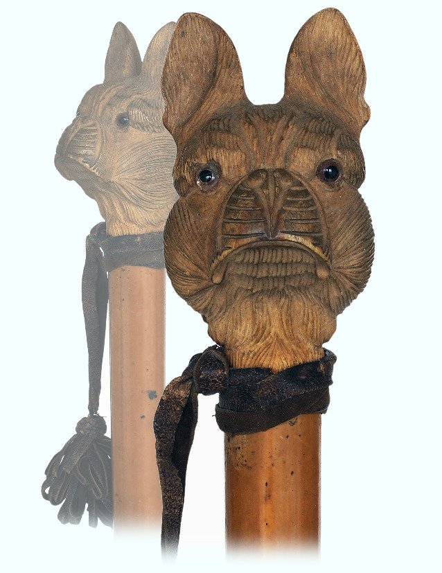 131. Dog Head Cane-Ca. 1900-Very large fruit wood (1 of 2)