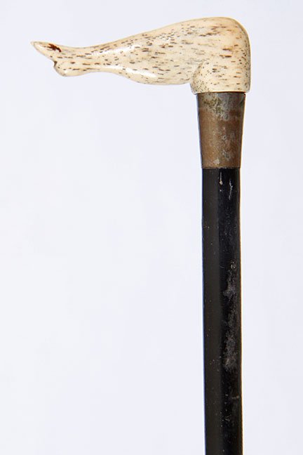173. Nautical Bone Cane- Ca. 1880- A diminutive whale: 173. Nautical Bone Cane- Ca. 1880- A diminutive whale bone naughty leg, silver metal collar, small flexible shaft and a metal collar. H.- 2 ¼ x ¾” O.L.- 35 ¾” $100-200