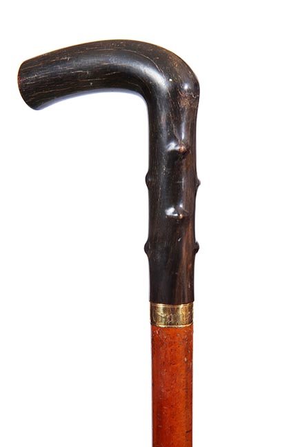 Horn Sword Cane (1 of 3)