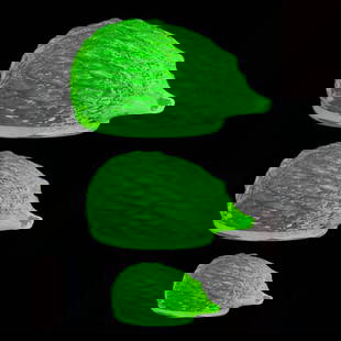 Transparent Uranium Glass Set ' The hedgehog family ' Yellow Vaseline Uranium Glass 3 Figurines: Transparent Uranium Glass Set. Yellow Vaseline Uranium Glass ' The hedgehog family ' 3 Figurines. Glows beautifully under UV light. Length 3 '' ( 7,5 cm ), Length 2 1/2 '' ( 6,5 cm ), Length 1 1/2 ''