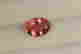 item-56377359=1