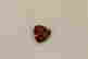 item-56377365=1