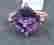 item-59367013=4