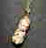 item-65432462=2