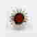 item-104620731=2