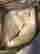 item-131936401=6