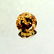 2 ct & up Fancy Dark Brown Round Brilliant SI1