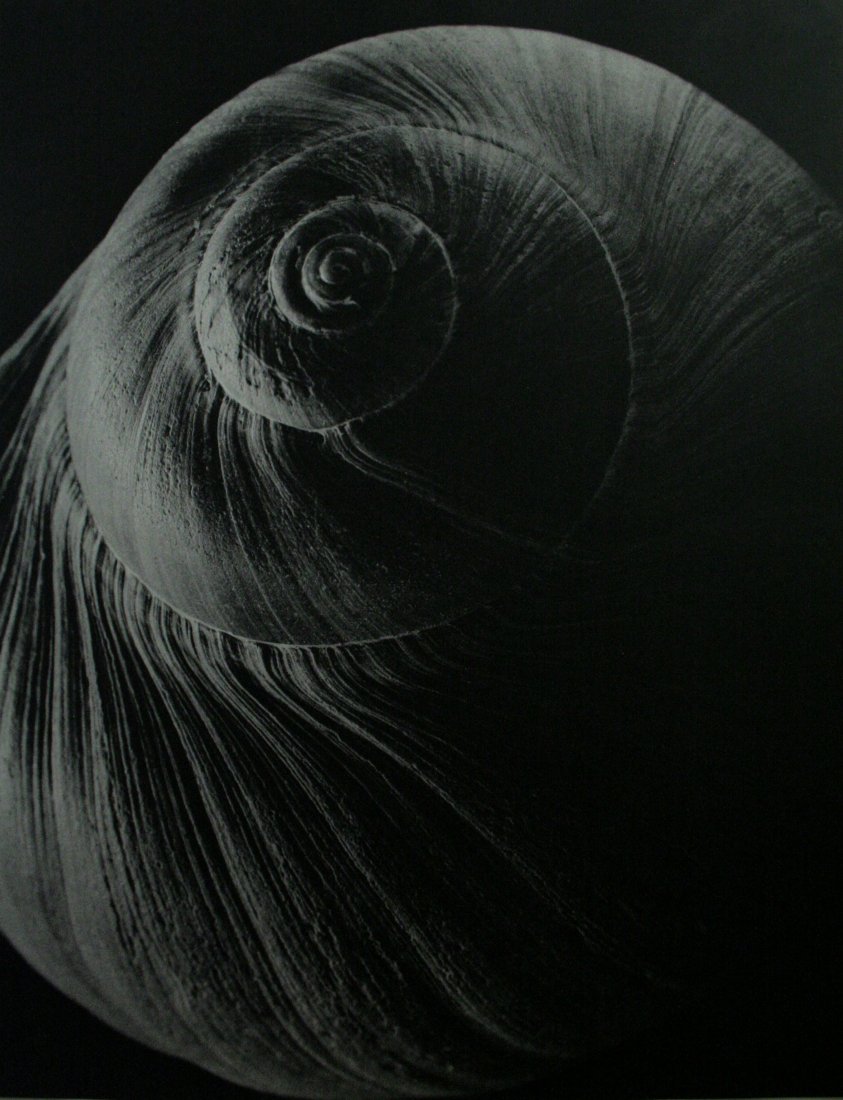 Edward Steichen, Balzac Vintage photogravure: Vintage photogravure, after the original, printed Mid-20C.Image size 9 x 11 inches Overall size is 12 x 14 inches Professionally custom matted and framed in a gold gallery frame.