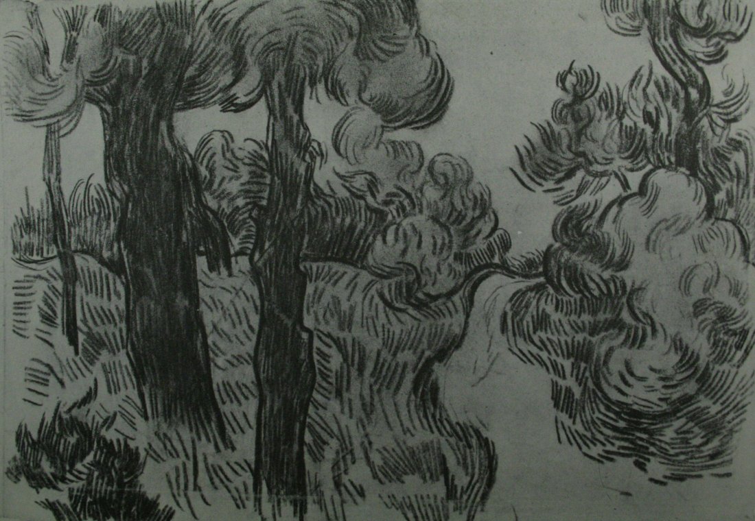 Vincent Van Gogh, Vintage Lithograph: Vintage Lithograph, after the original Black Chalk Drawing "path Between Pine Trees " 1889, printed Mid-20C. Image size 6 1/2 x 9 inchesOverall size is 11 x 14 inches Professionally custom matted and 