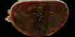 item-54072603=4