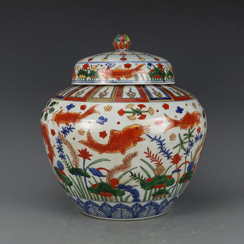 Chinese Wucai Fish Porcelain Jar (1 of 5)