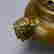 item-43803135=2