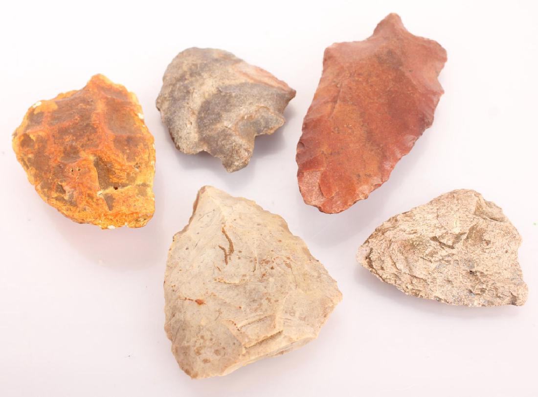 5 NORTH FLORIDA ARROWHEADS (1 of 3)