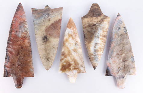 5 AGATIZED CORAL FLORIDA ARROWHEADS: 5 AGATIZED CORAL FLORIDA ARROWHEADS Lot of 5 agatized coral Florida arrowheads. Size: 4.25" to 5.5" Shipping / Pickup: We Can Ship This Item Lot of 5 agatized coral Florida arrowheads. Size: