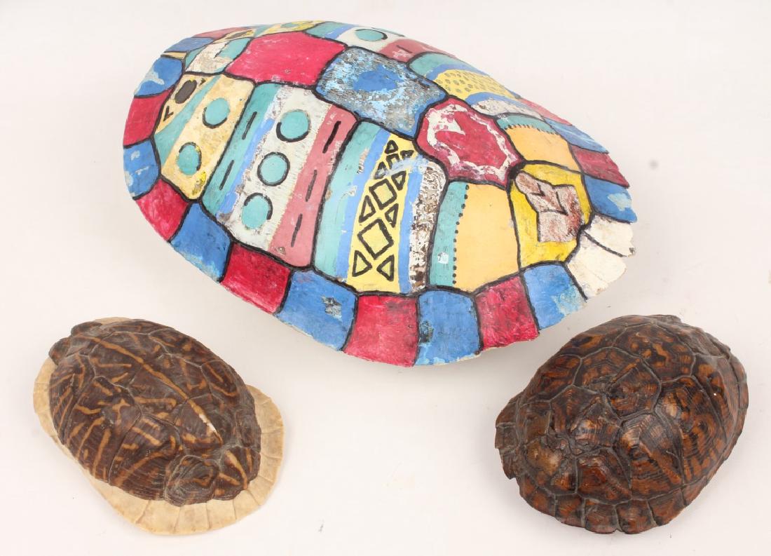 3 TURTLE & TORTOISE SHELL SPECIMENS (1 of 4)