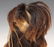 SHRUNKEN HEAD SPECIMEN - 2