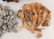 ASSORTED ROUGH GEMSTONES AND CRYSTAL SPECIMENS - 4