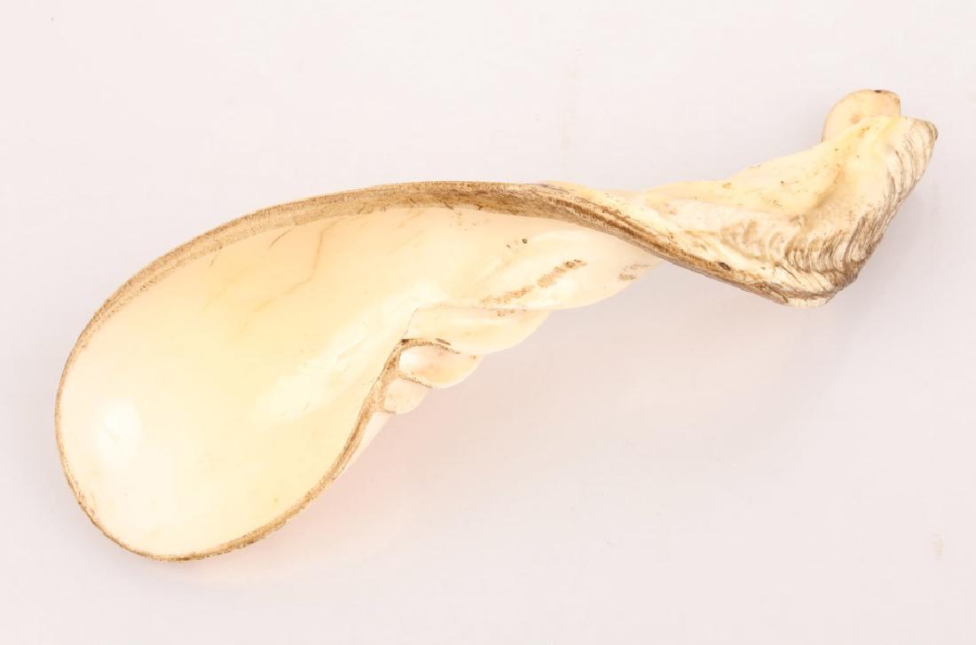 CARVED CONCH SHELL SPOON (1 of 2)