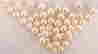 item-54844259=1