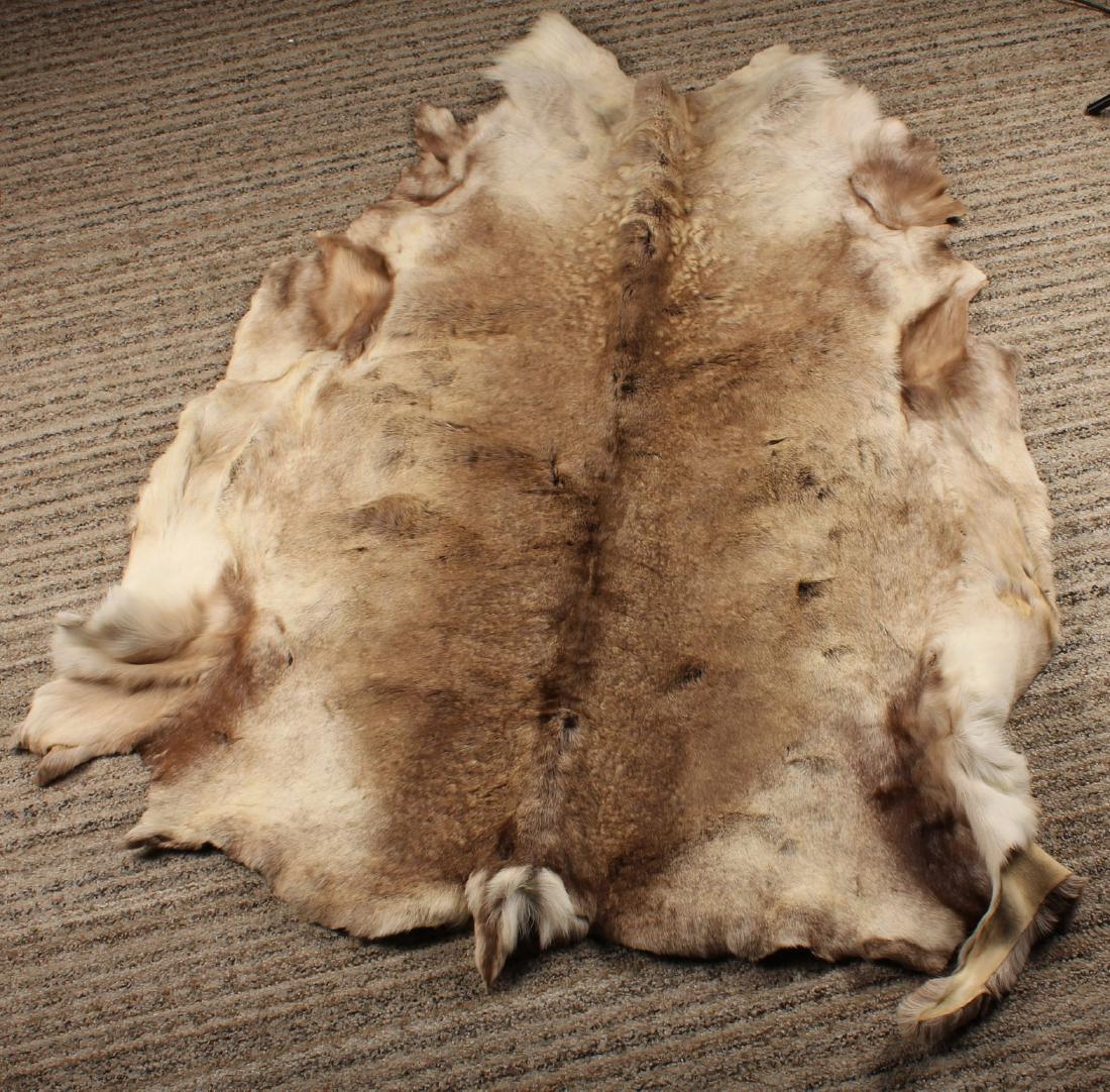 LARGE ELK SKIN HIDE (1 of 5)