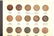1957 - 1909 FLYING EAGLE & INDIAN HEAD CENT BOOK - 3