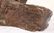 MARK HOPKINS I HAVE SEEN TOMORROW BRONZE STATUE - 8